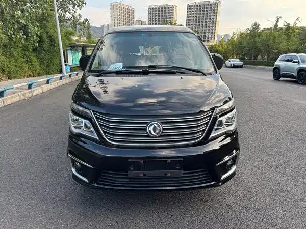 Dongfeng Lingzhi 2020