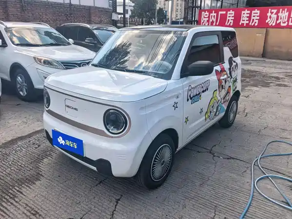 Geely Galaxy Panda 2024