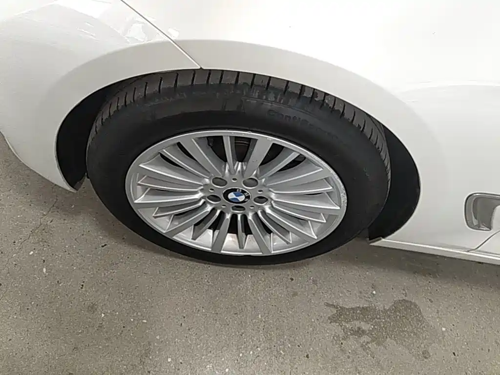 BMW 3 Series GT 2018 — фото 23