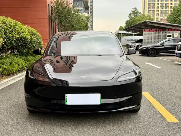 Tesla Model 3 2025