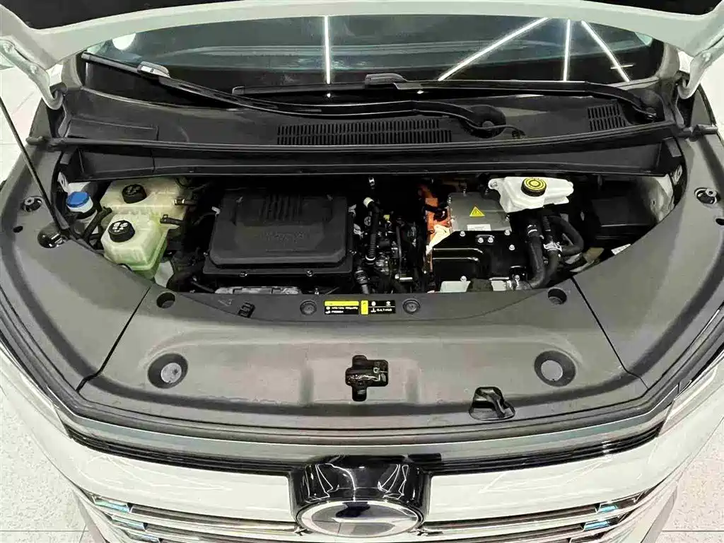 GAC Motor Trumpchi E9 2024 — фото 33
