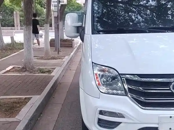 Maxus V80 2020