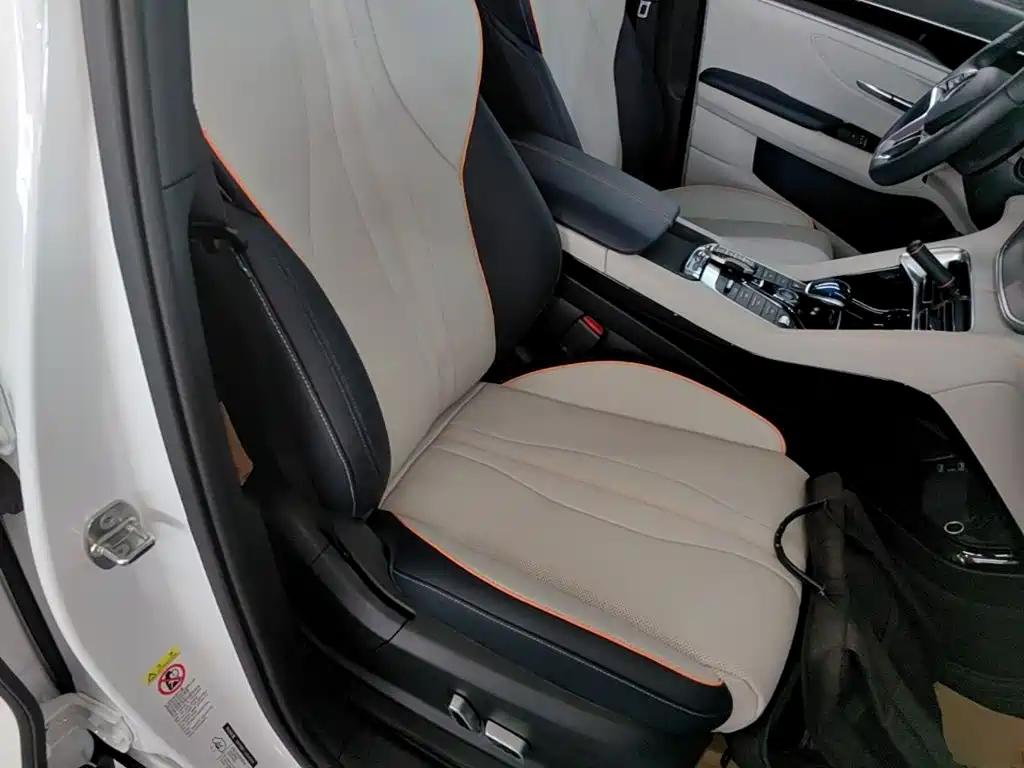 BYD Song PLUS New Energy 2022 — фото 25