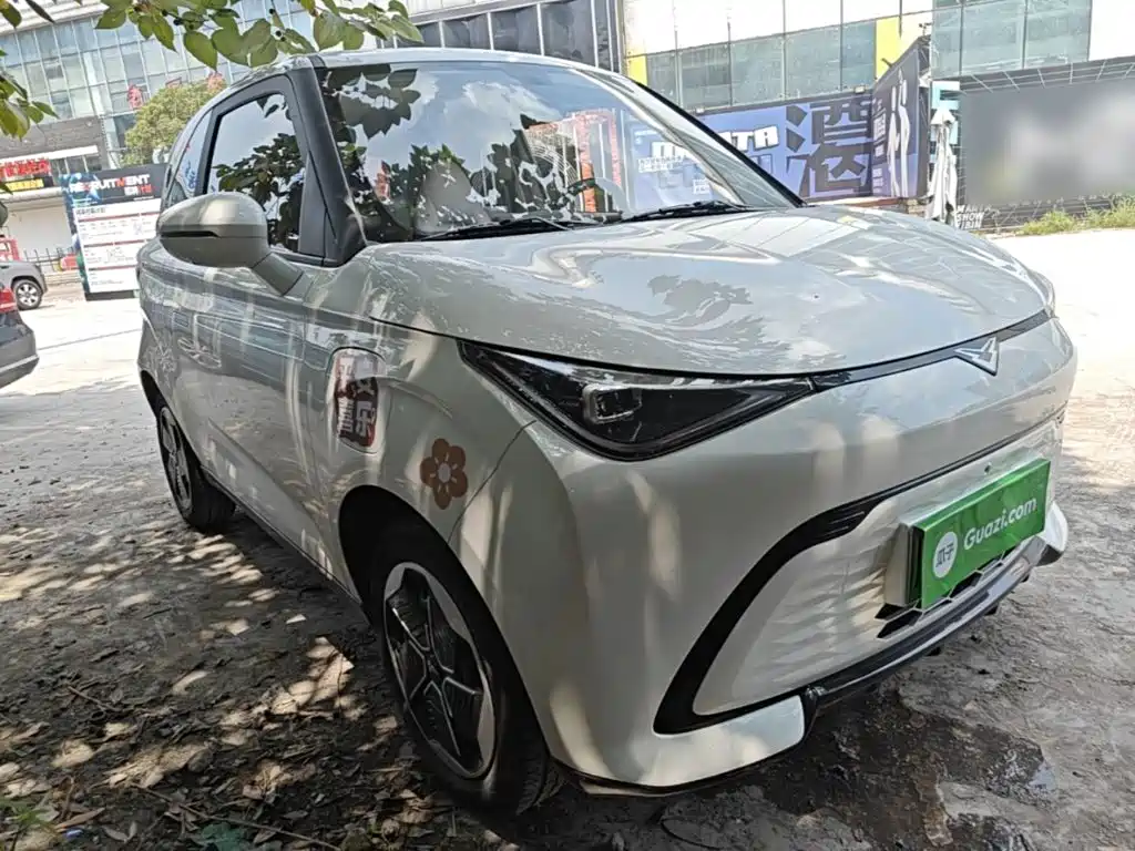 Cowin Shiyue 2024