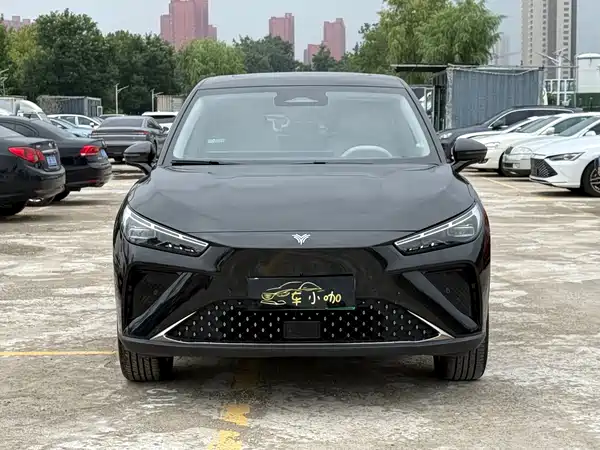 Neta L 2024