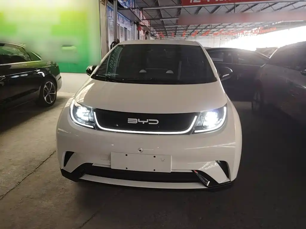BYD Dolphin 2024