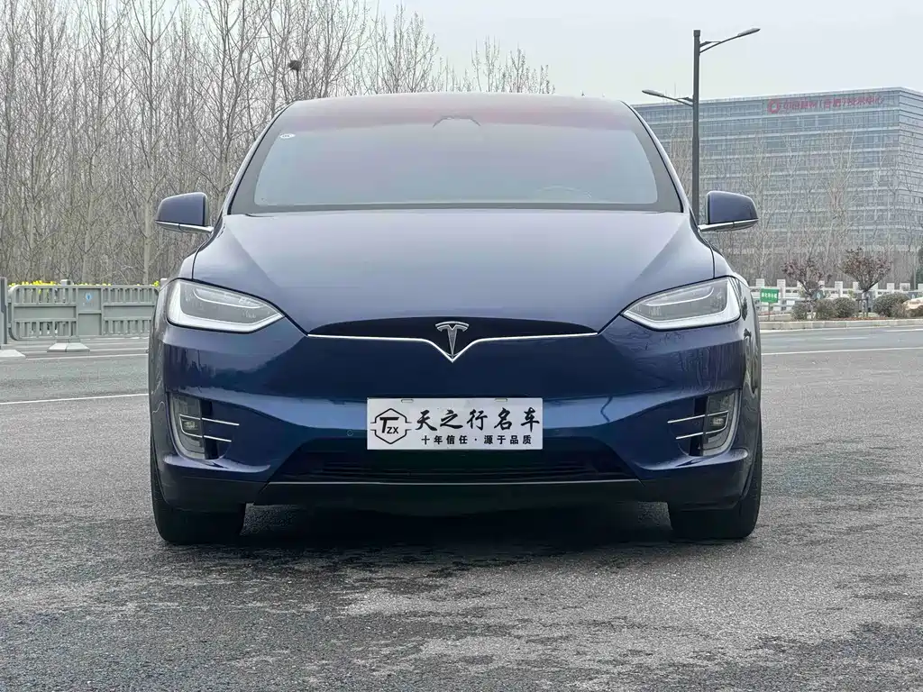 Tesla Model X 2019 — фото 2