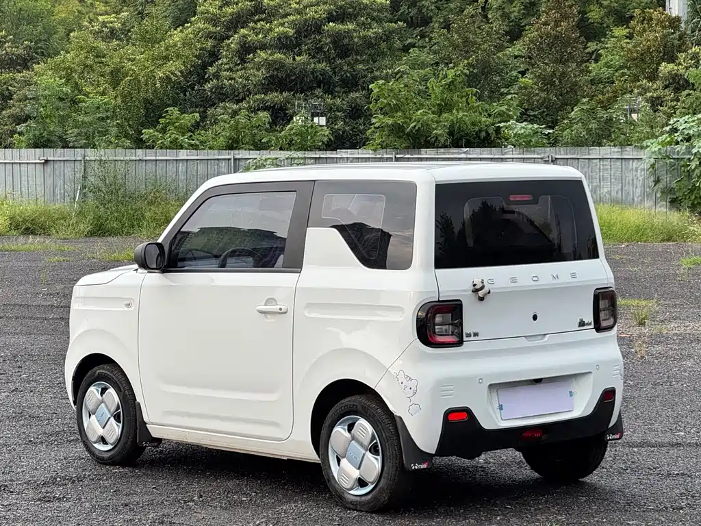 Geely Galaxy Panda 2024