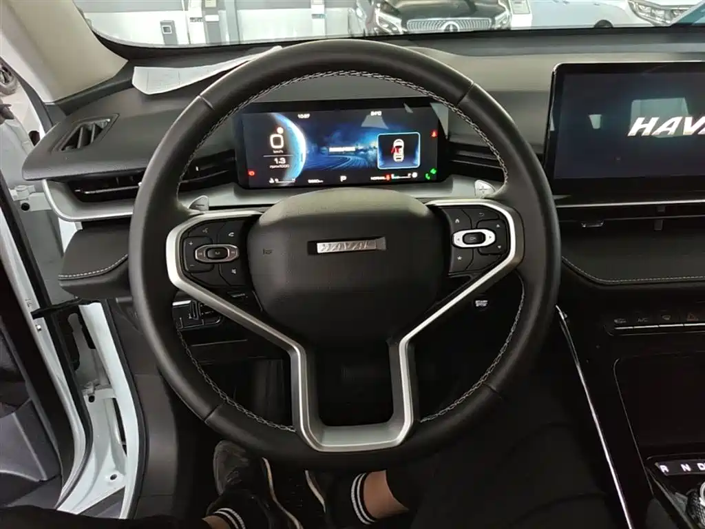 Haval H6 2024 — фото 11
