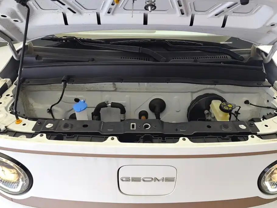 Geely Galaxy Panda 2024 — фото 10