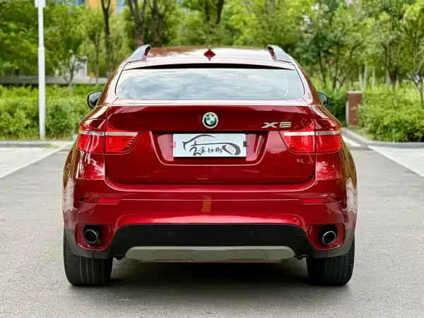 BMW X6 2010