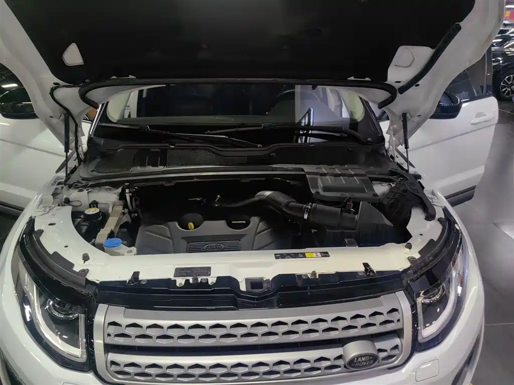 Land Rover Evoque 2017 — фото 16