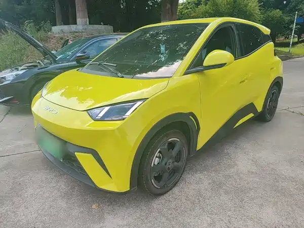 BYD Seagull 2023