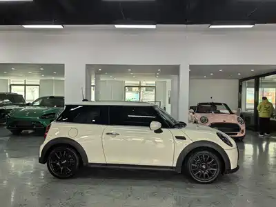 MINI MINI 2022