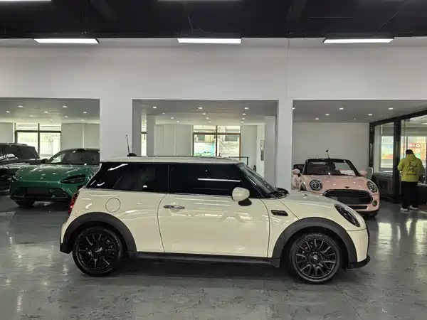 MINI MINI 2022