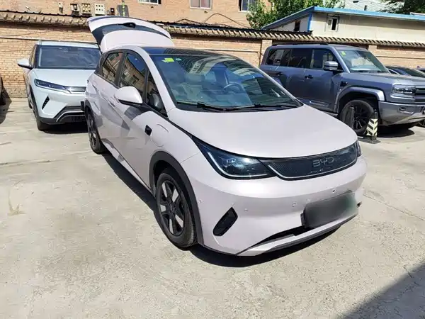 BYD Dolphin 2025