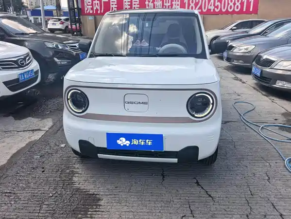 Geely Galaxy Panda 2024