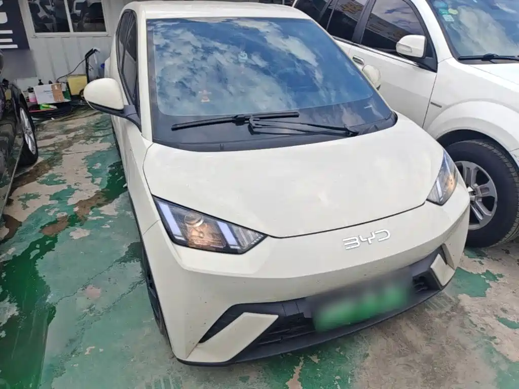 BYD Seagull 2024