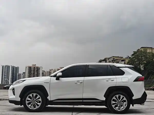 Toyota Wildlander 2020