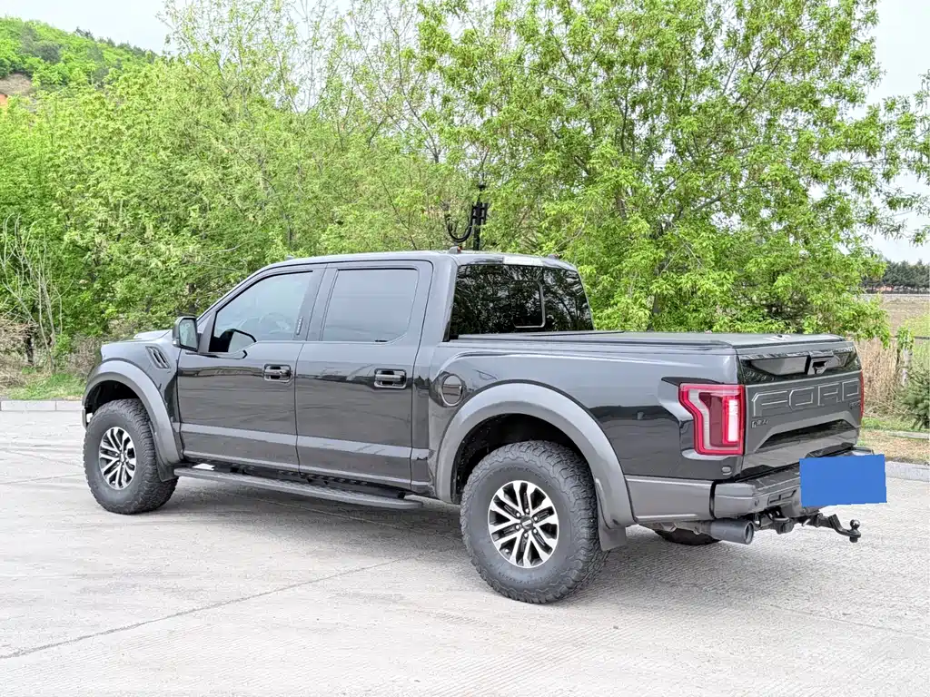 Ford F-150 Raptor 2020 — фото 16