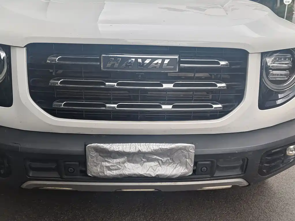 Haval Big Dog 2022 — фото 10