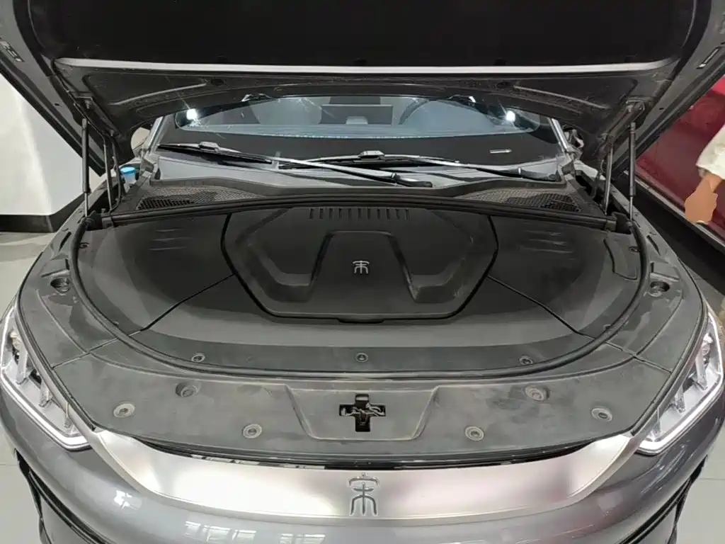 BYD PLUS New Energy 2021 — фото 20