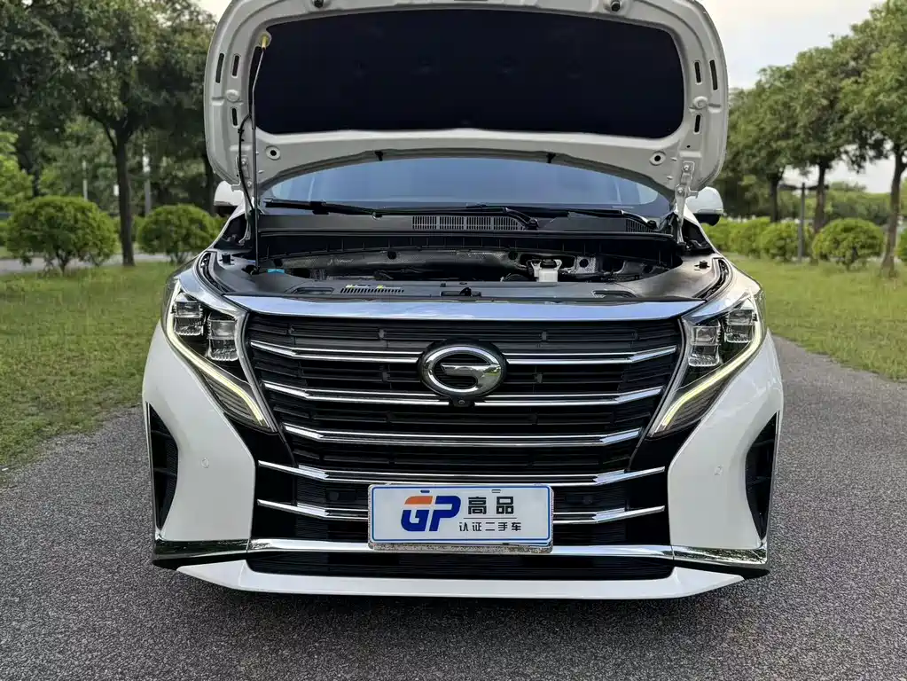 GAC Trumpchi M8 2022 — фото 19
