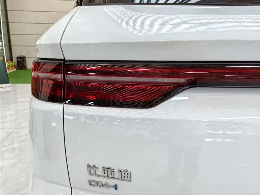 BYD Pro New Energy 2024 — фото 8