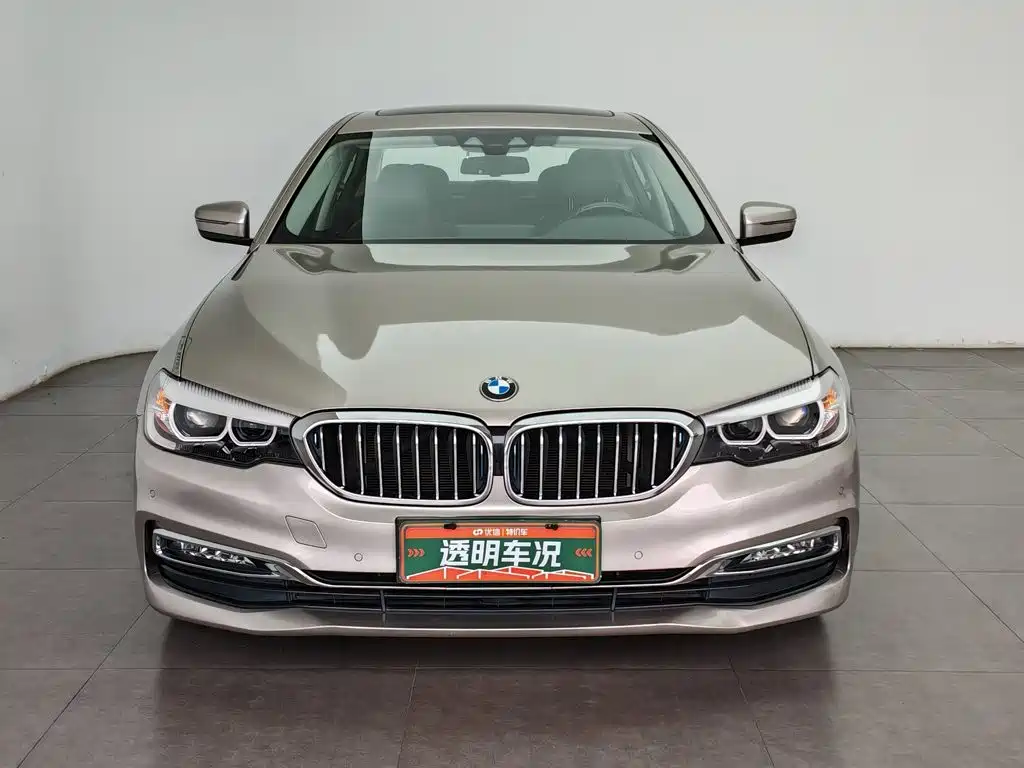 BMW 5 Series New Energy 2018