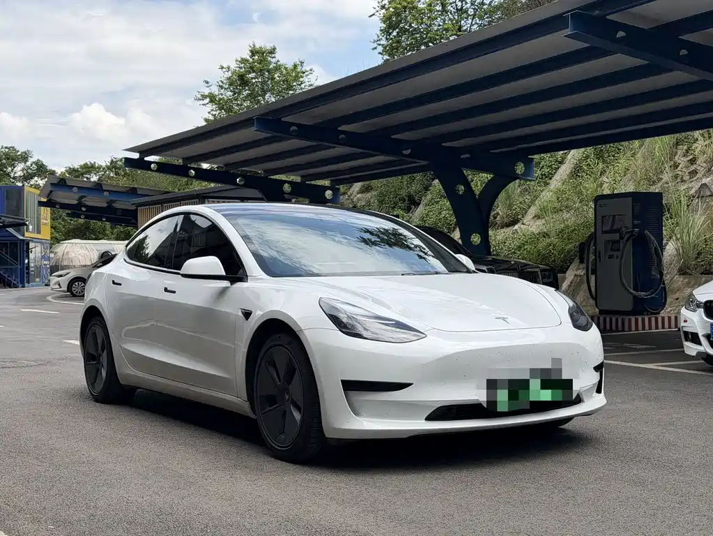 Tesla Model 3 2021 — фото 3