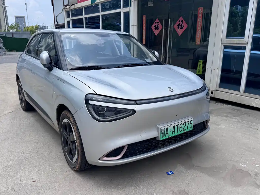 Dongfeng Nano 01 2025