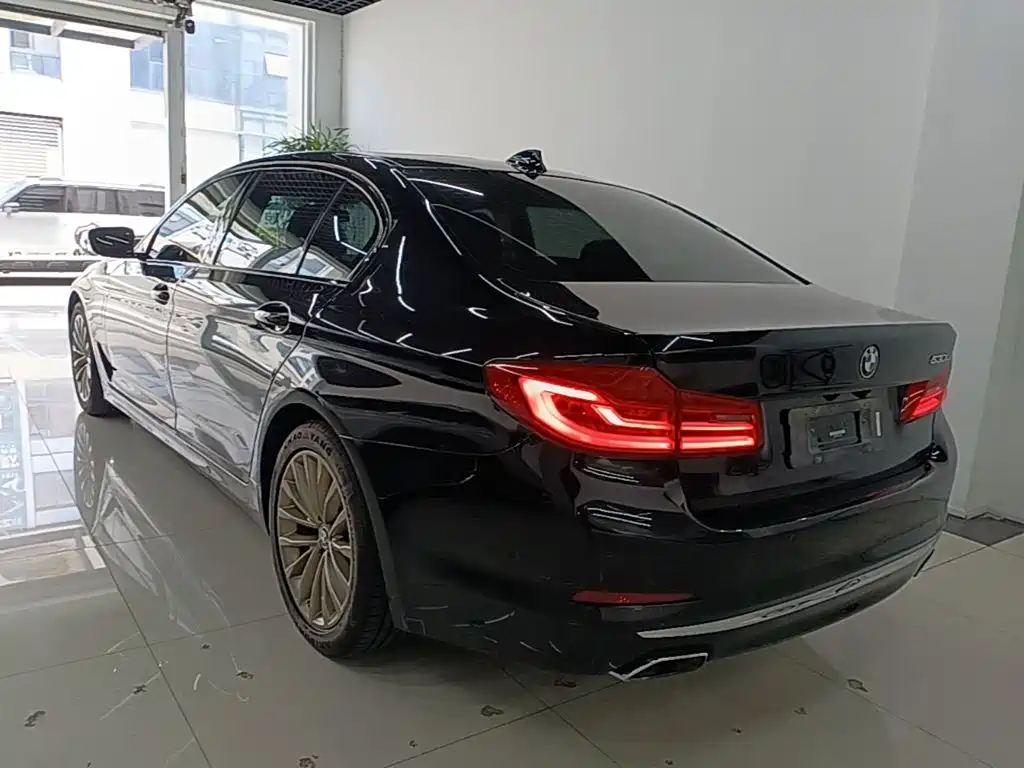 BMW 5 Series New Energy 2020