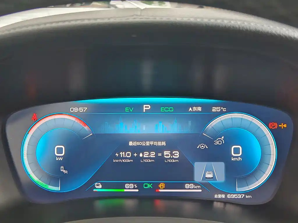 BYD Song PLUS New Energy 2024 — фото 13