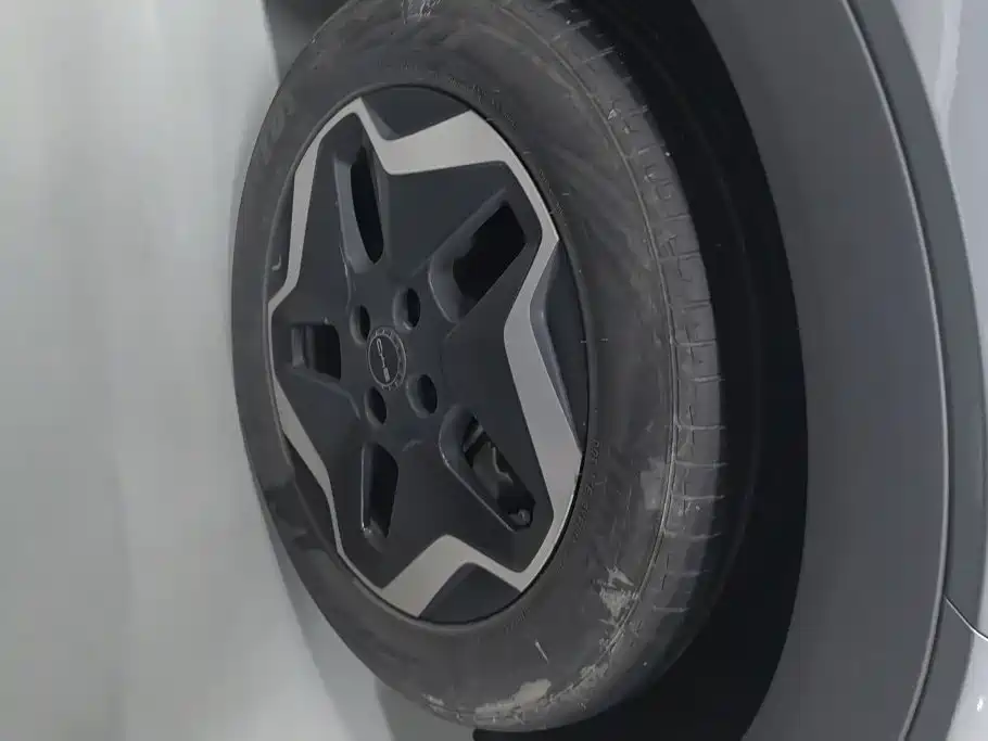 BYD Dolphin 2022