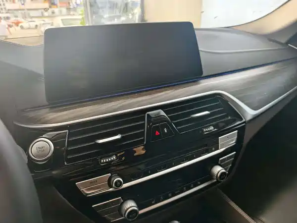 BMW 5 Series New Energy 2019