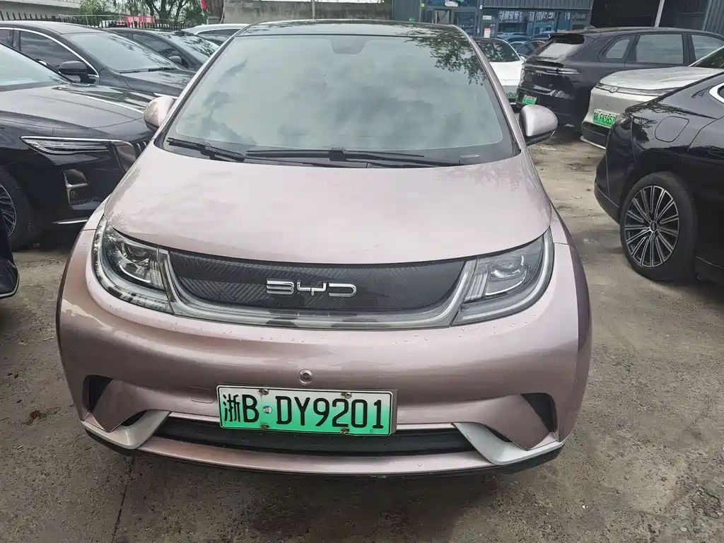 BYD Dolphin 2022