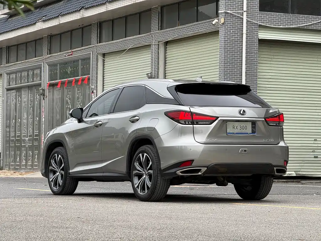 Lexus RX 2022 — фото 15