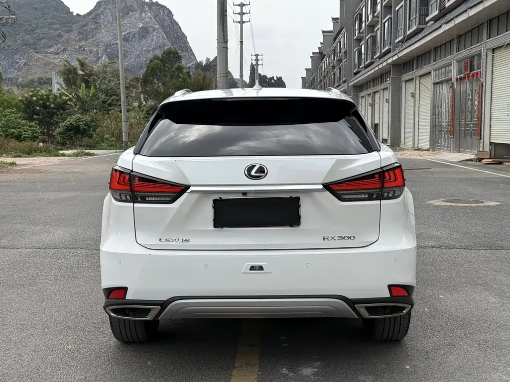 Lexus RX 2020 — фото 21