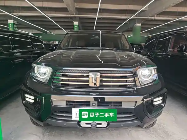 Tank 700 New Energy 2024