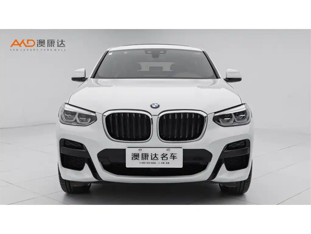BMW X4 2020 — фото 2