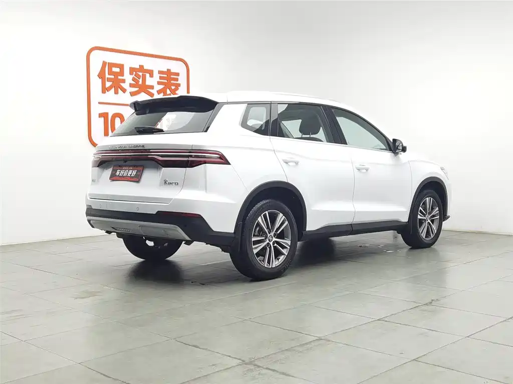 BYD Pro 2020 — фото 2