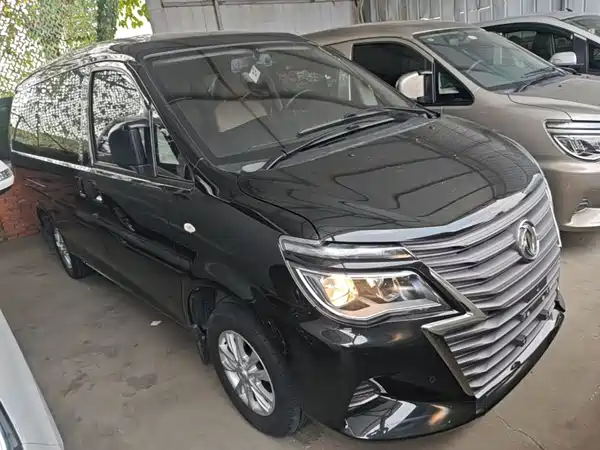 Dongfeng Lingzhi 2020