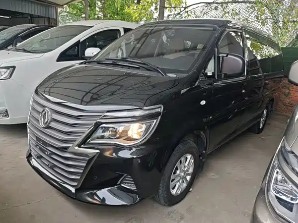 Dongfeng Lingzhi 2020