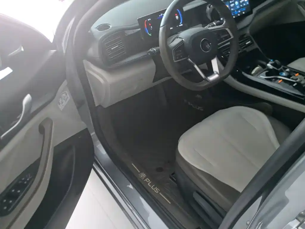 BYD Qin PLUS 2024 — фото 16