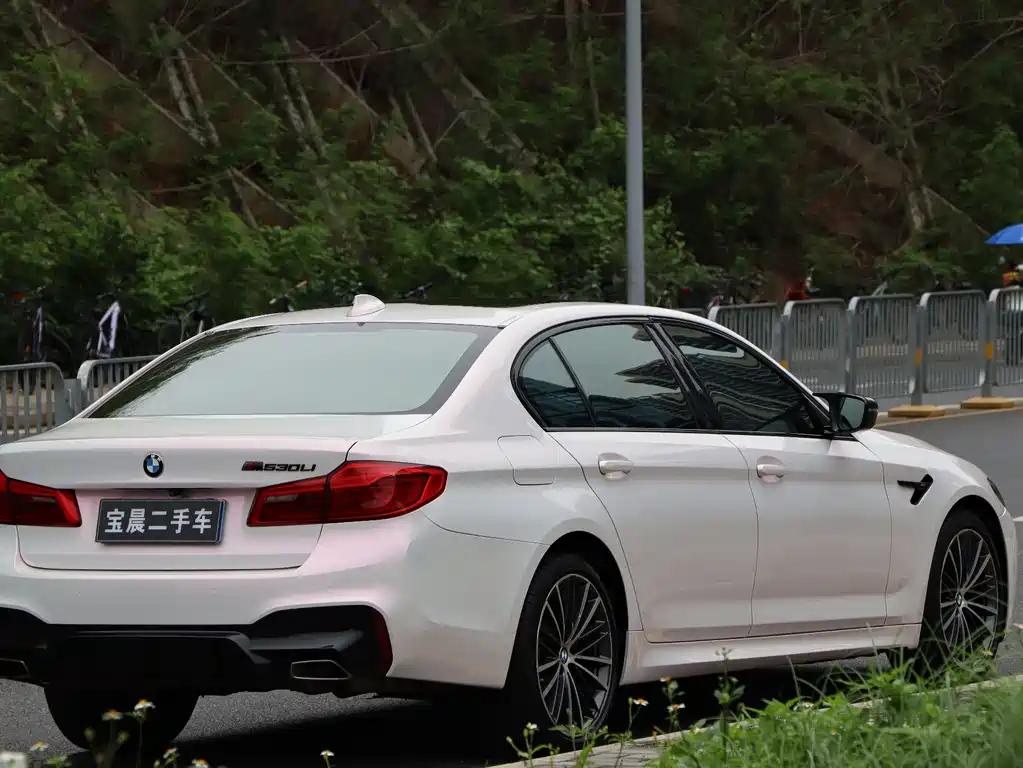 BMW 5 Series 2019