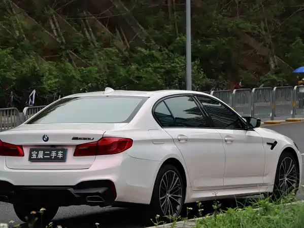 BMW 5 Series 2019