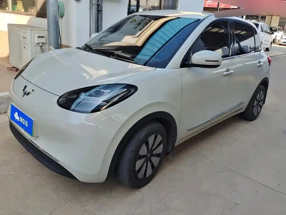 Wuling Bingo 2024