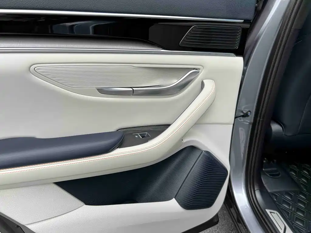 BYD PLUS New Energy 2023 — фото 26