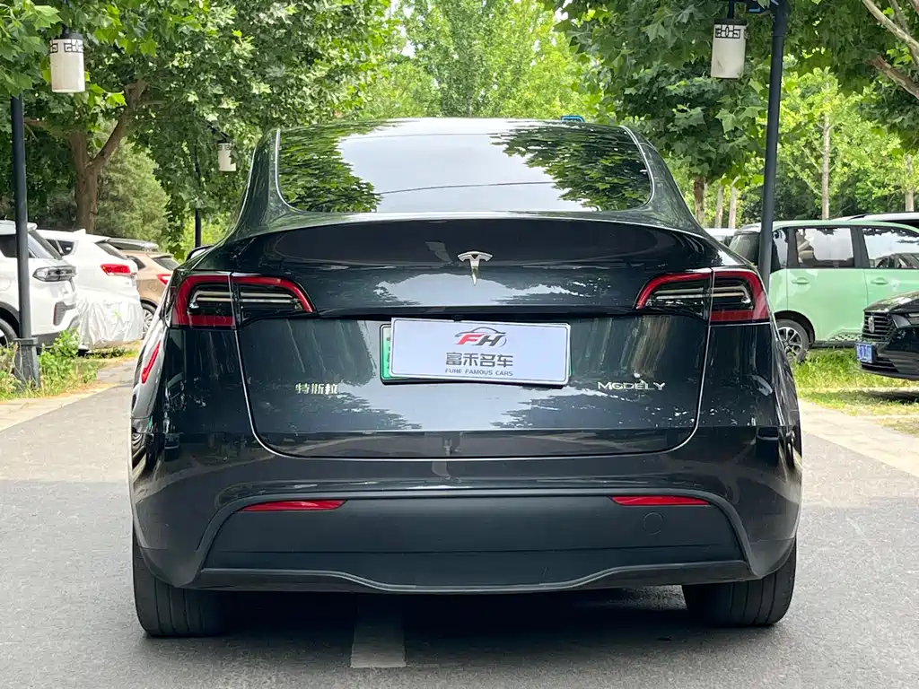 Tesla Model Y 2024 — фото 12
