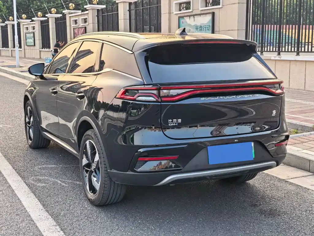 BYD Tang New Energy 2024 — фото 24